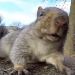 Meet your Posher, Marcus